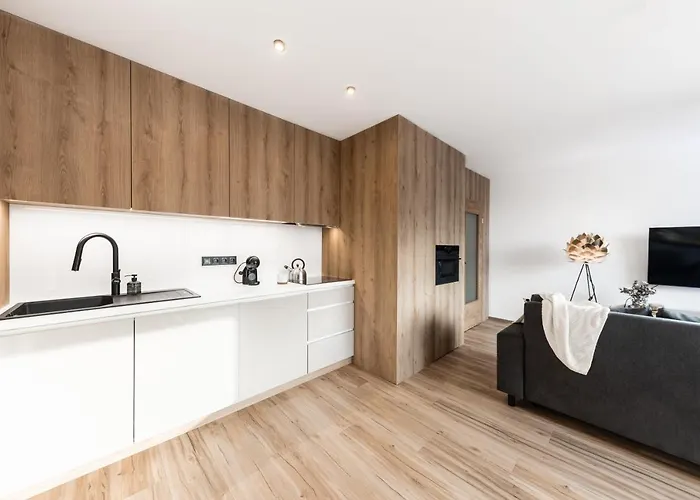 Horem Dolem Apartment Černý Důl